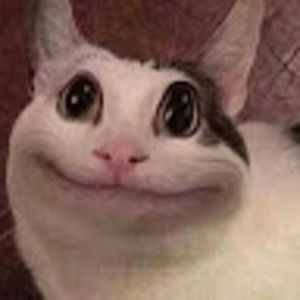 Meet your Posher, Brody